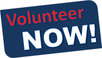 Volunteer Now